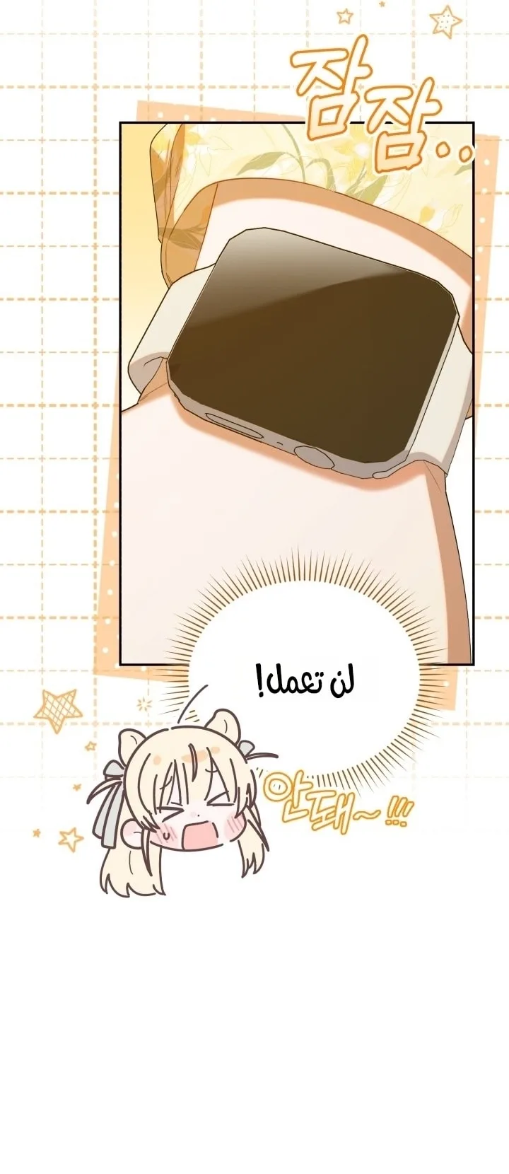 الصفحة 31
