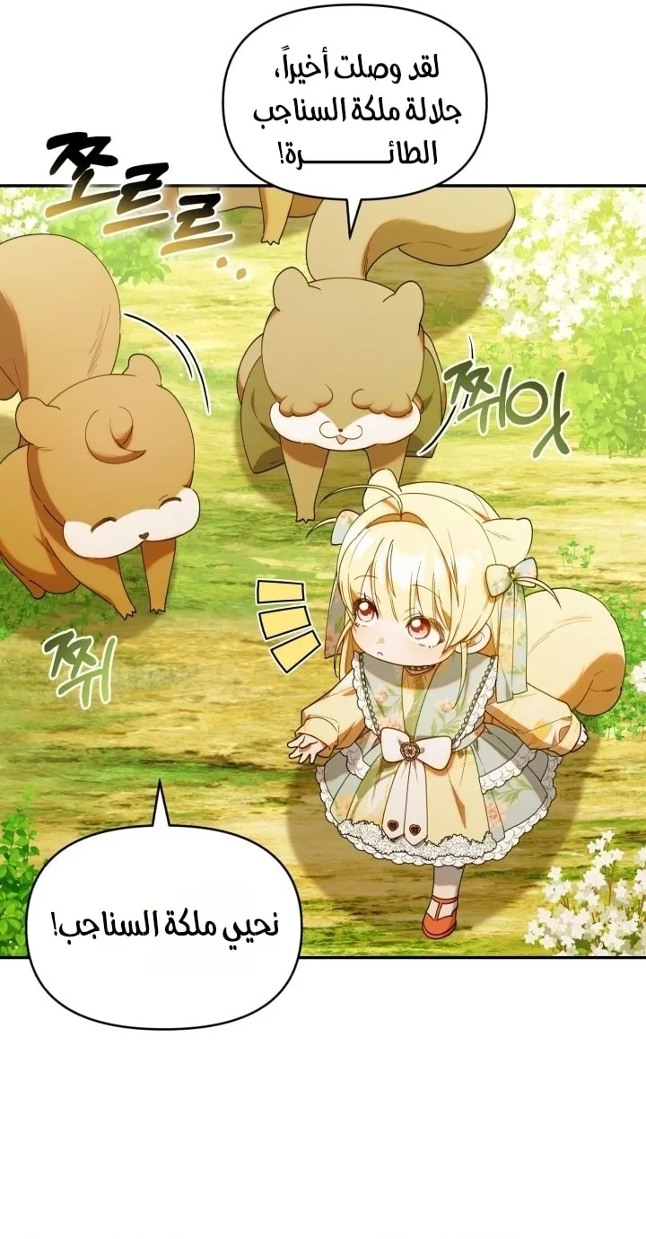 الصفحة 41
