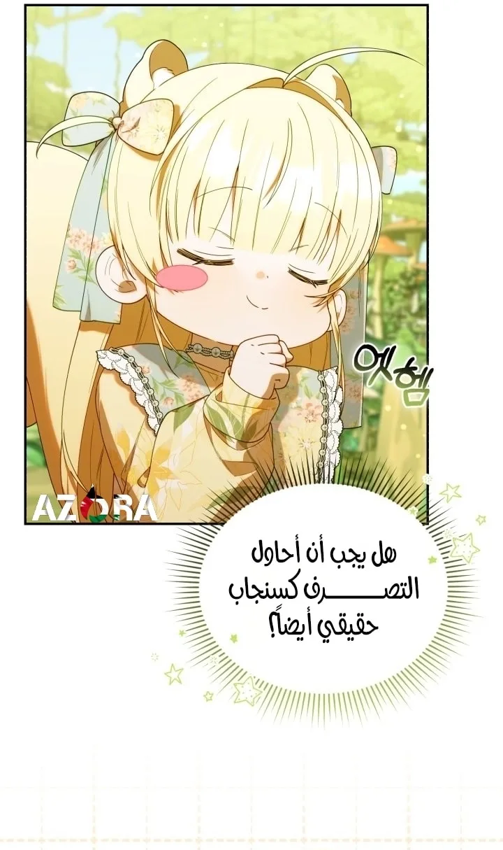 الصفحة 42