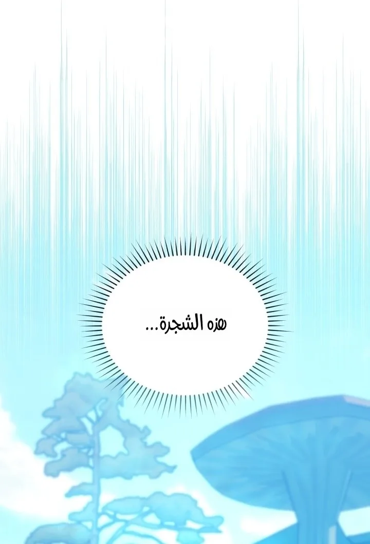 الصفحة 54
