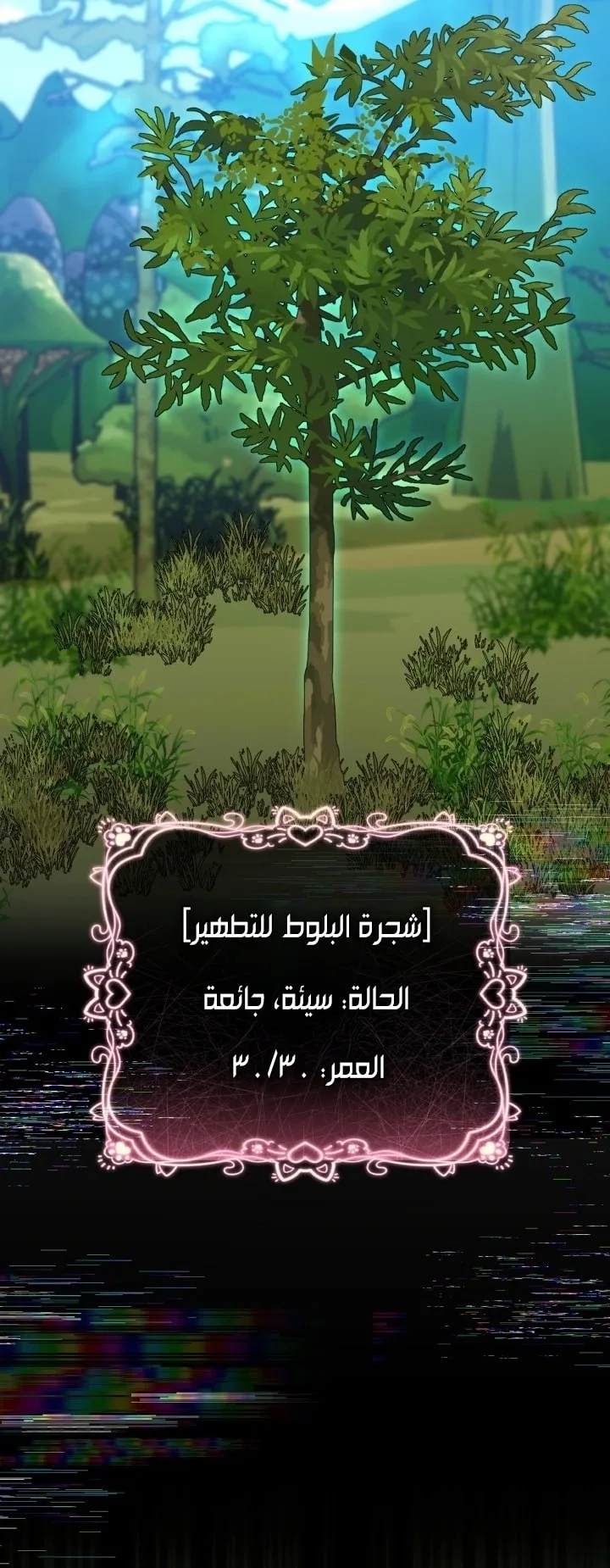 الصفحة 55