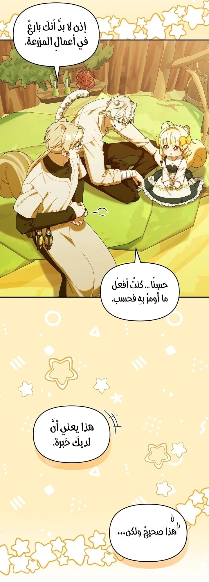 الصفحة 25
