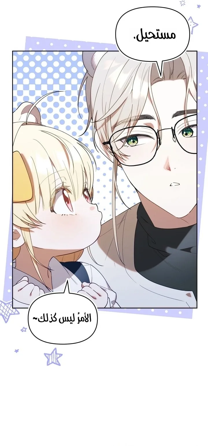 الصفحة 29