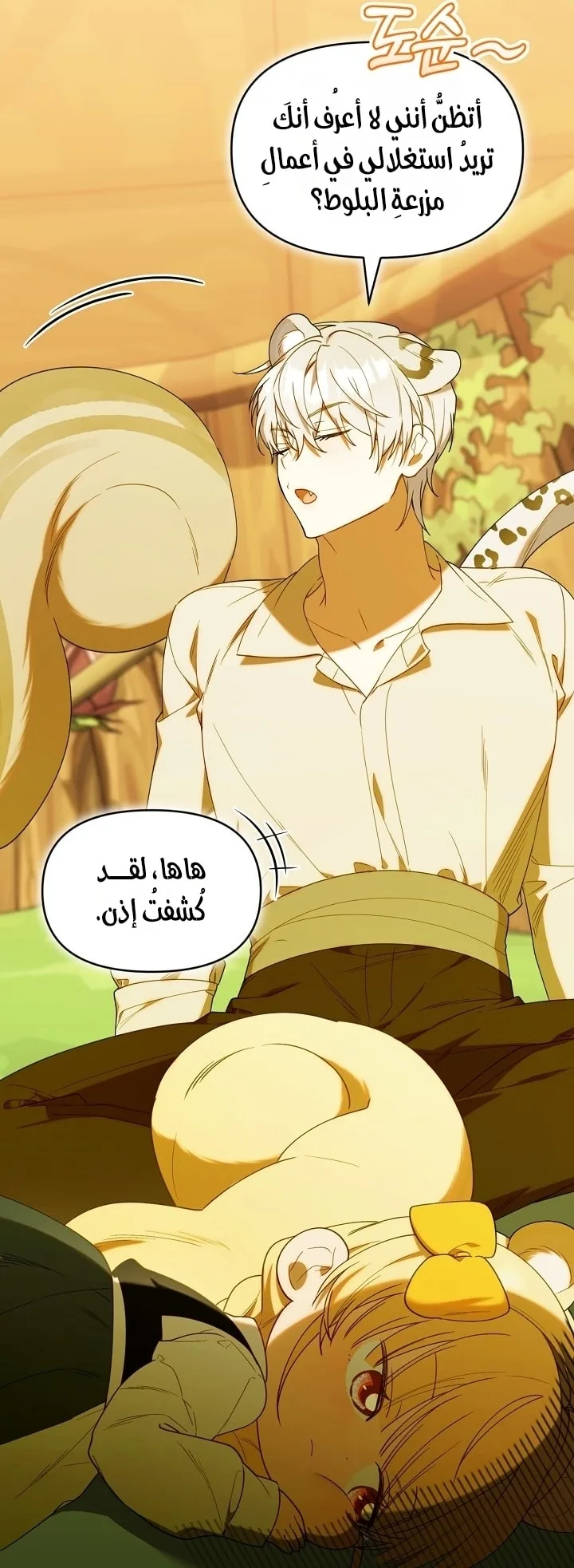 الصفحة 46