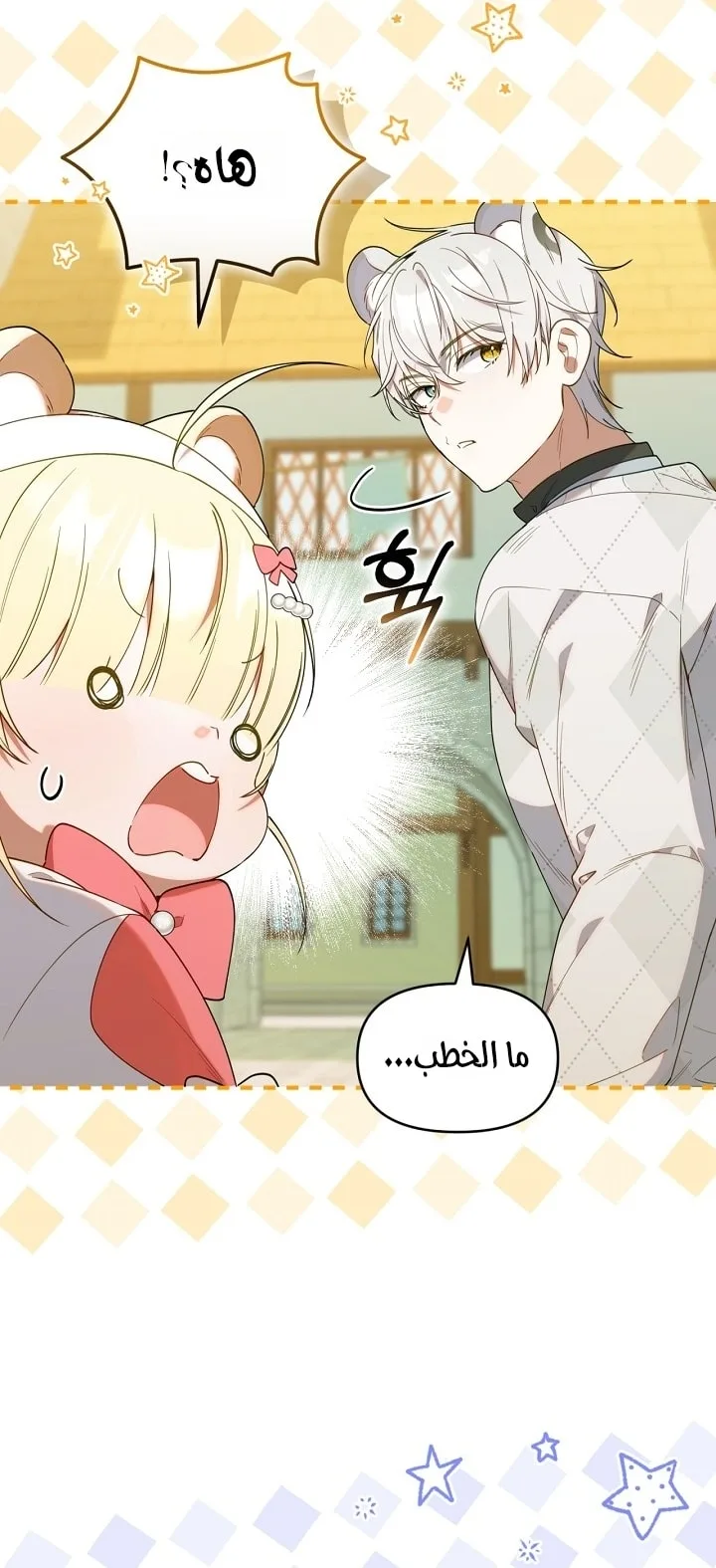 الصفحة 15
