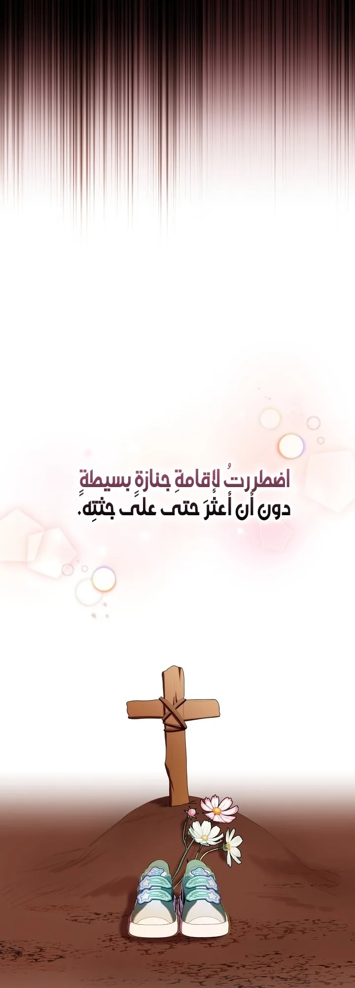 الصفحة 41