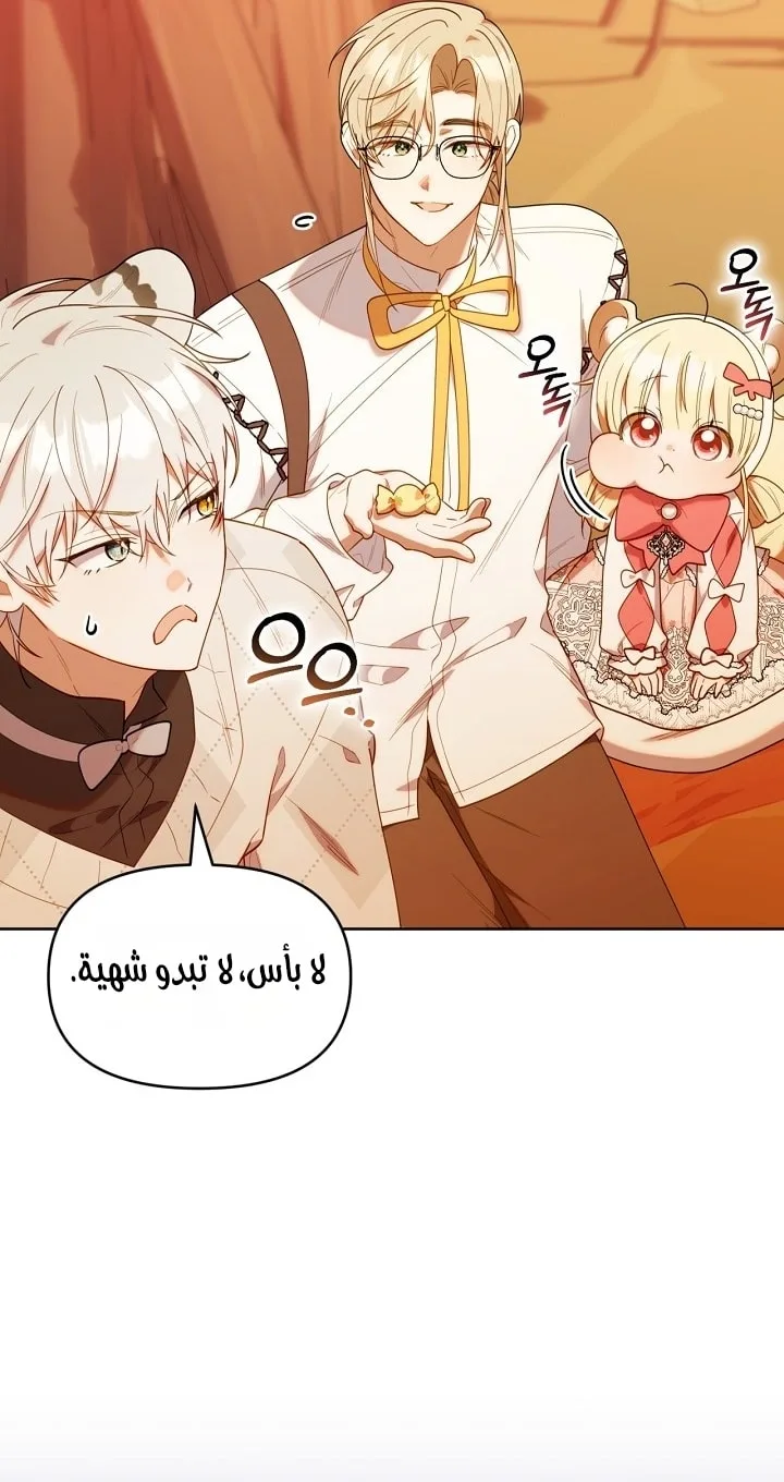 الصفحة 50