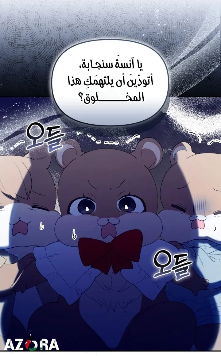 الصفحة 5