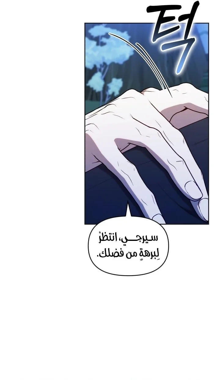 الصفحة 21
