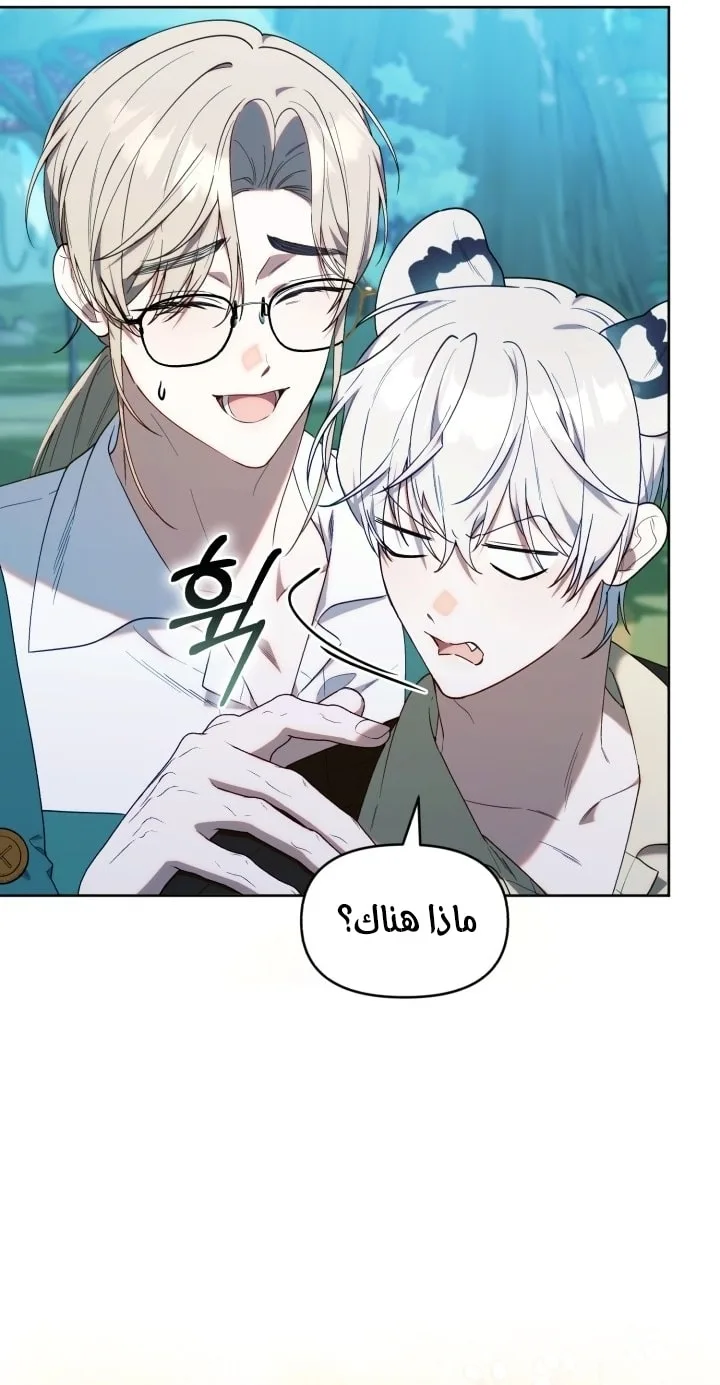 الصفحة 22