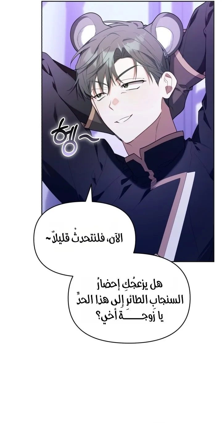 الصفحة 45
