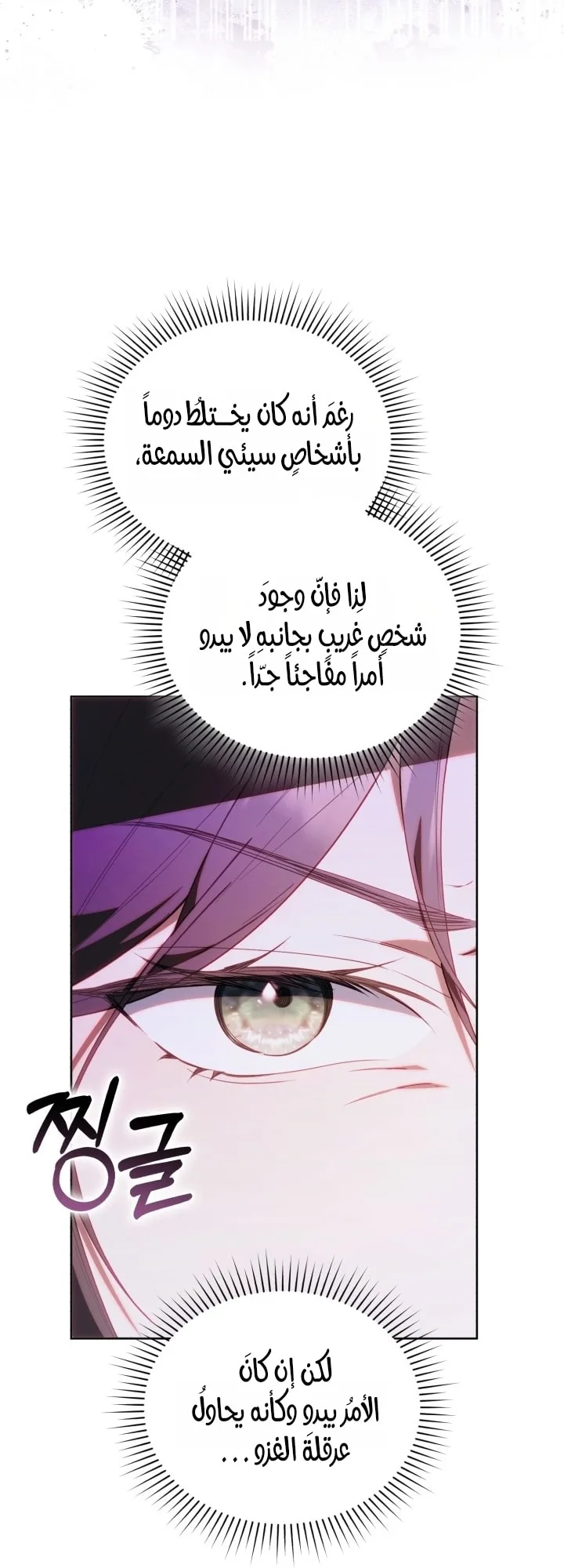 الصفحة 52