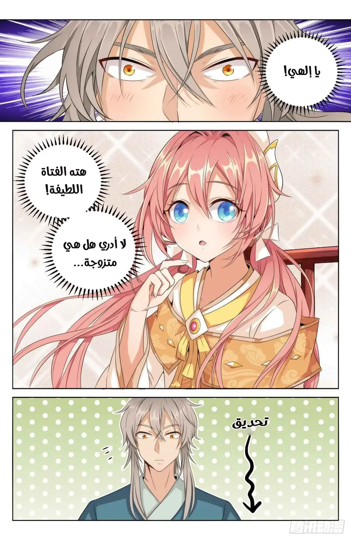 الصفحة 14