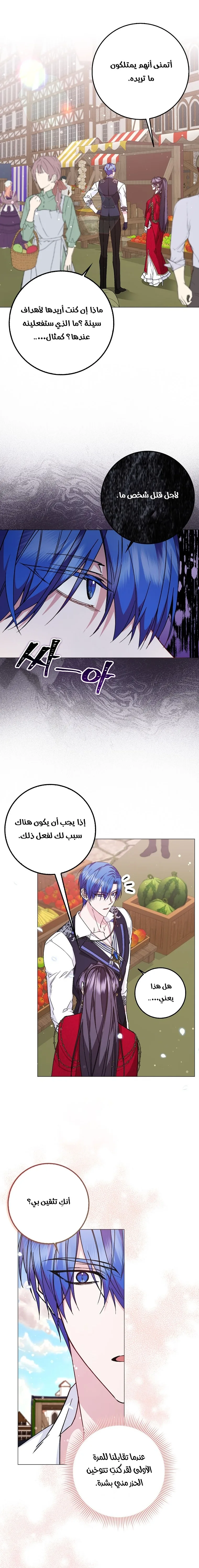 الصفحة 17
