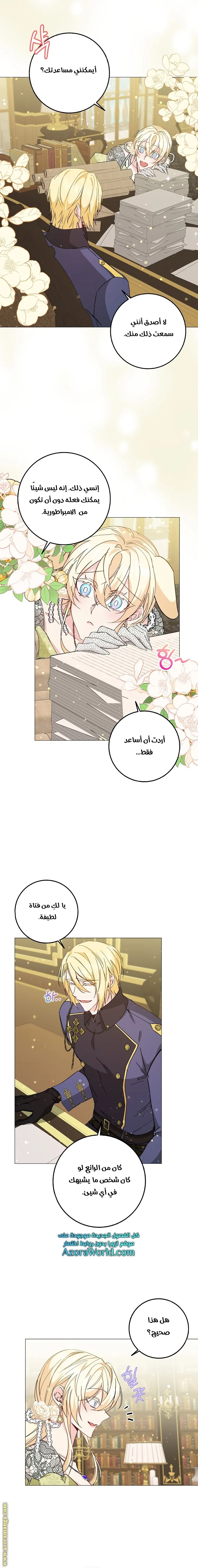 الصفحة 17