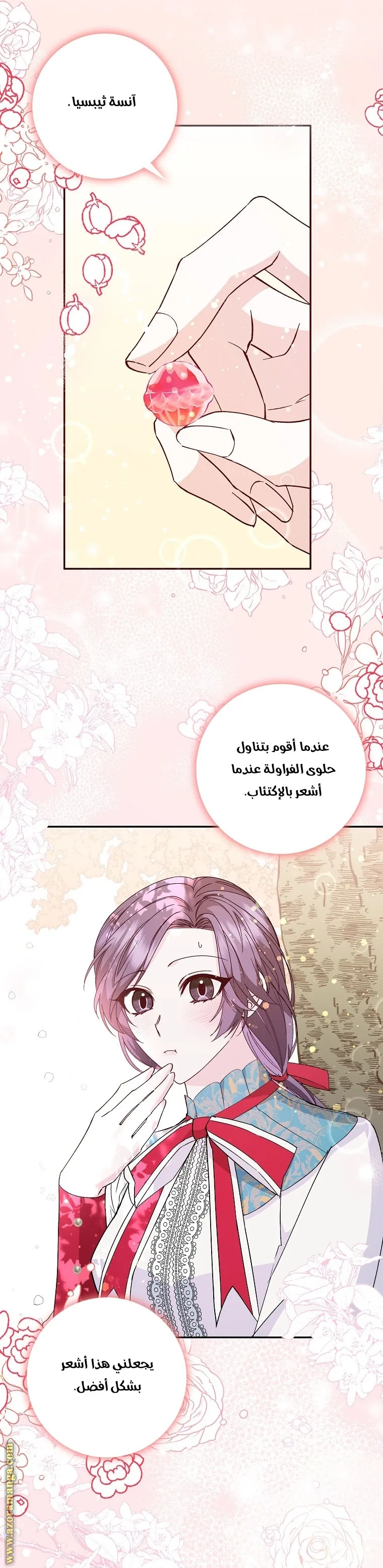 الصفحة 13