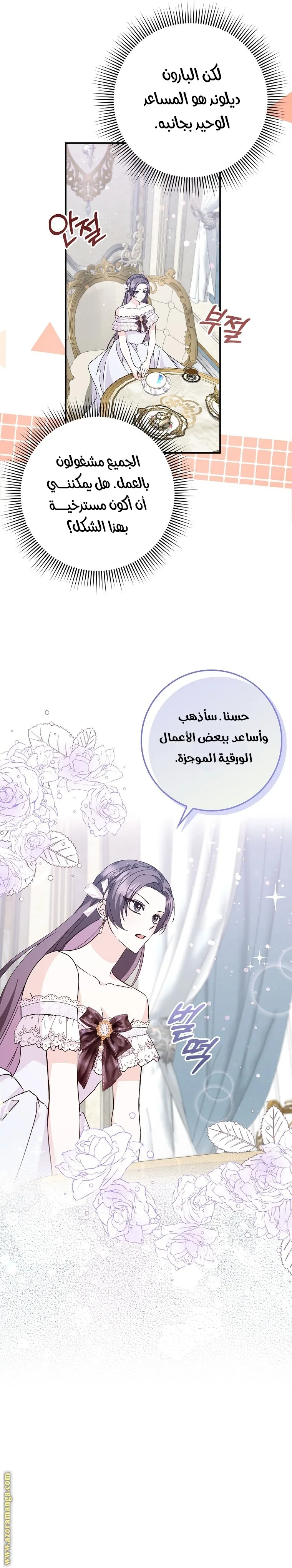 الصفحة 17