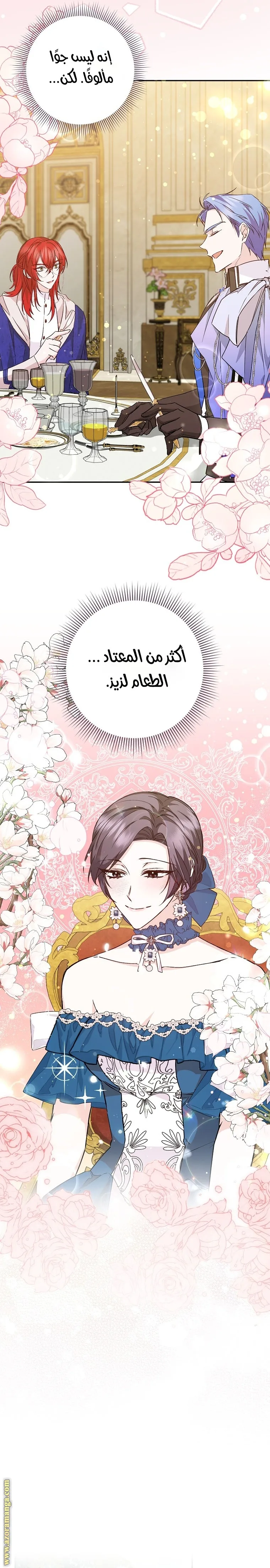 الصفحة 19