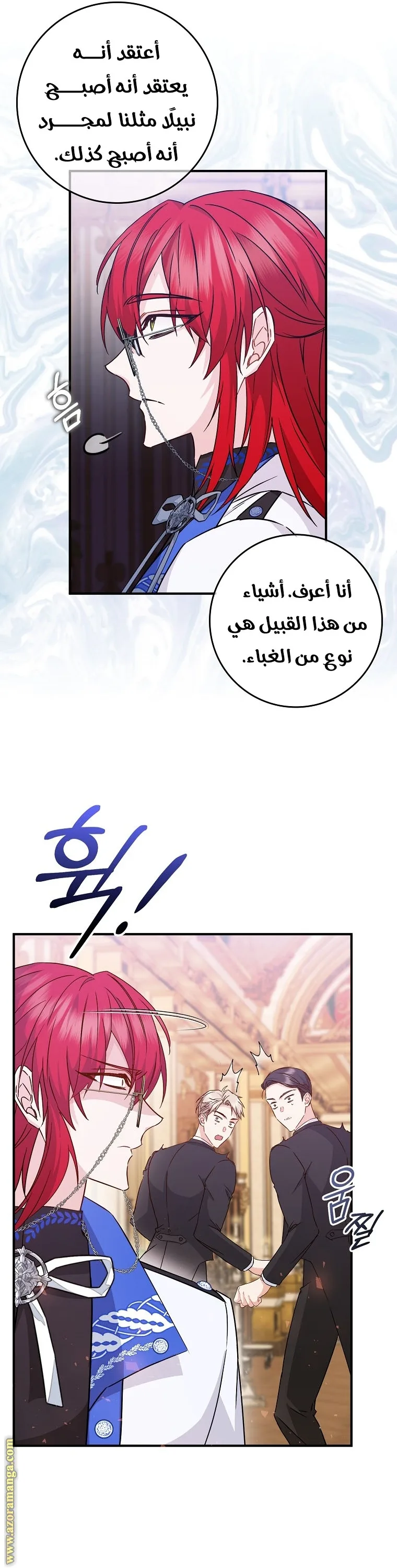الصفحة 29