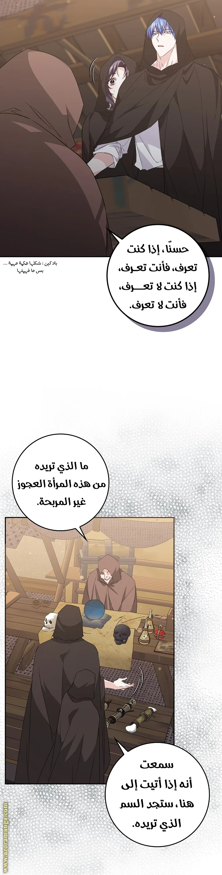 الصفحة 12