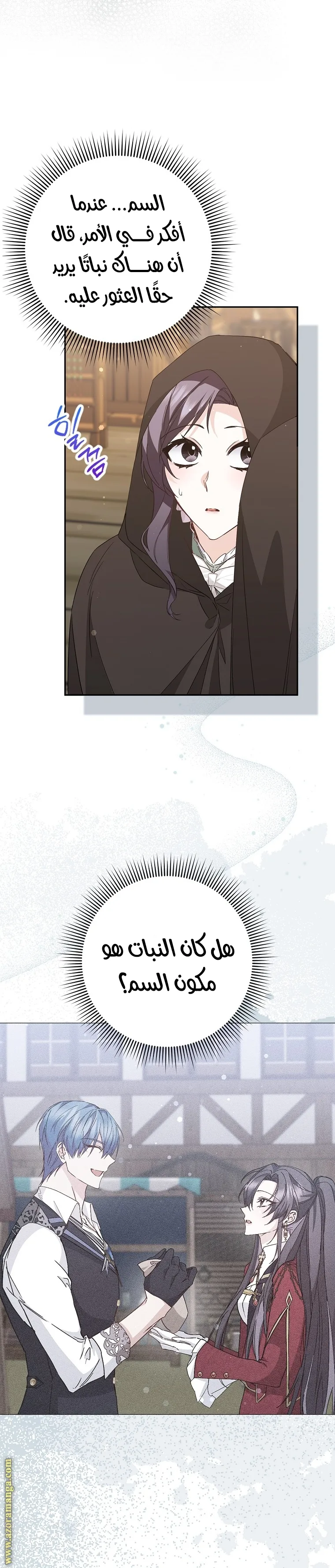الصفحة 13