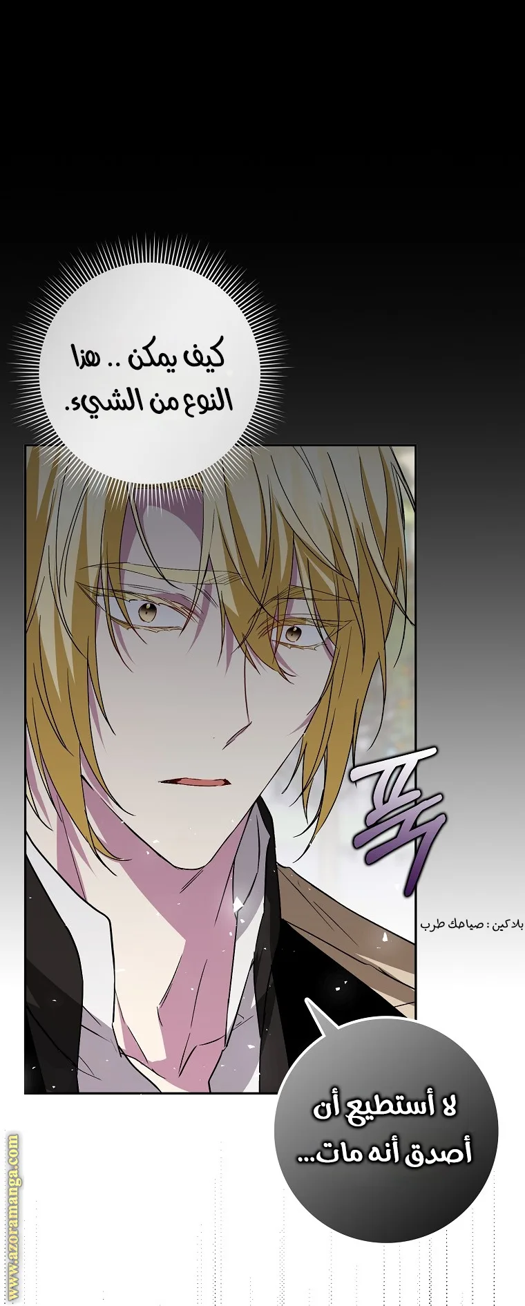 الصفحة 13