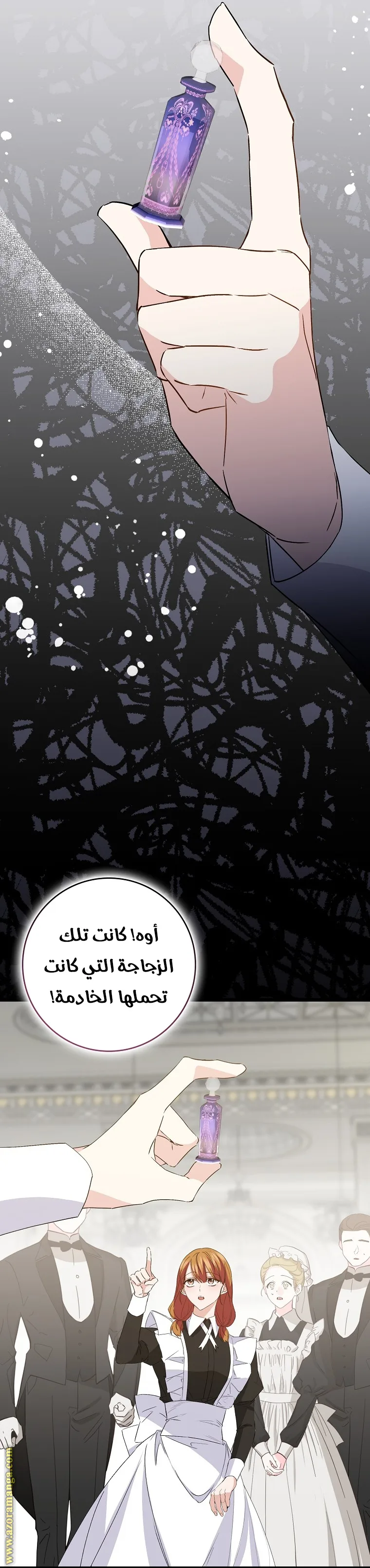 الصفحة 29