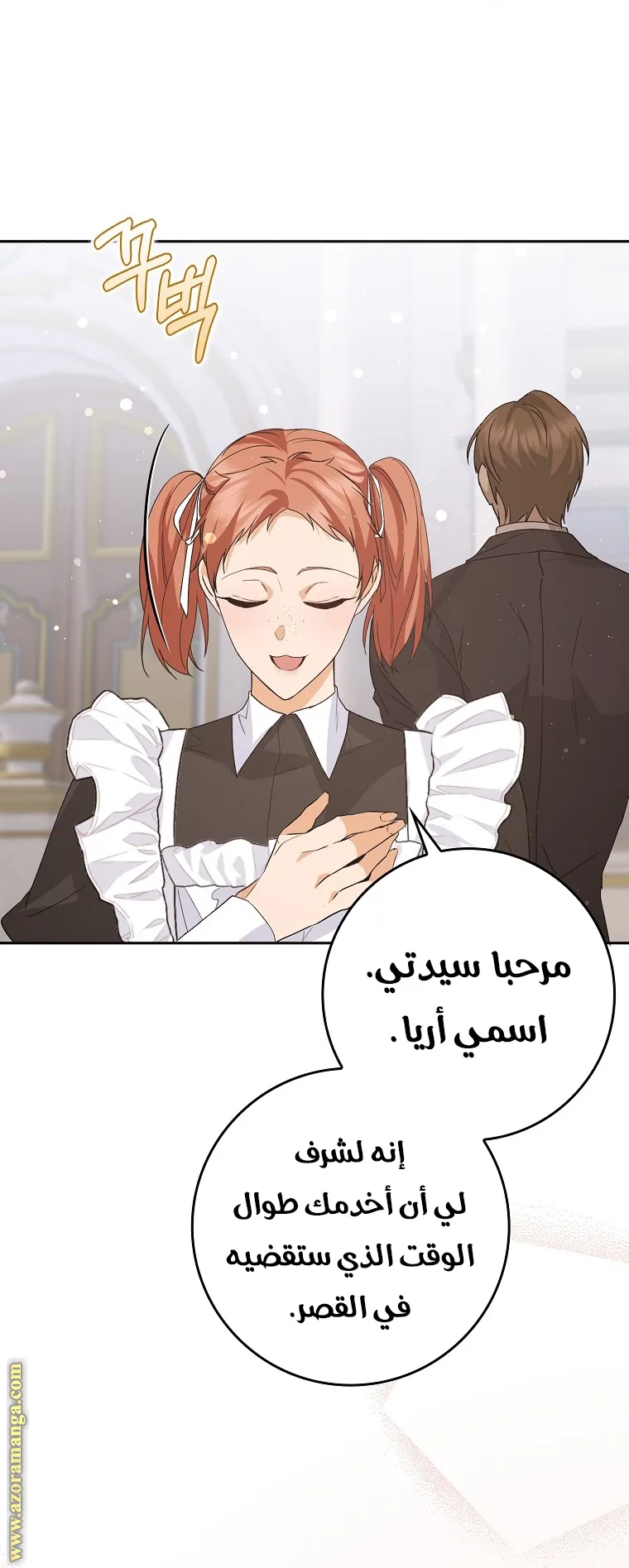 الصفحة 27