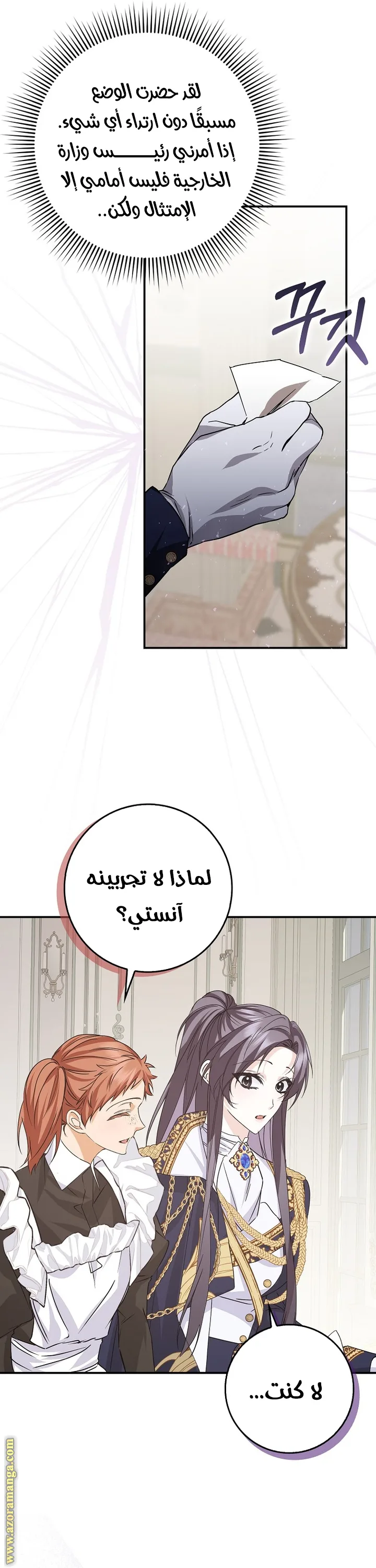 الصفحة 17