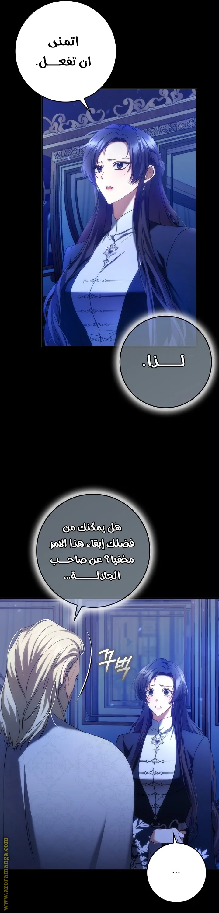 الصفحة 13