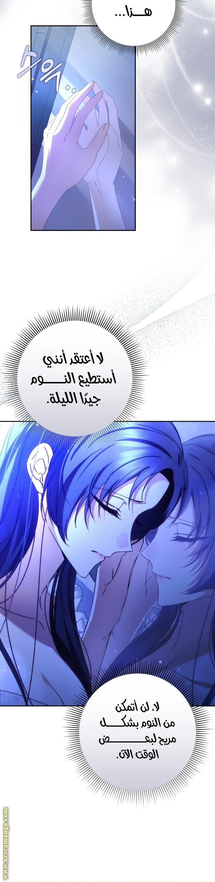 الصفحة 17