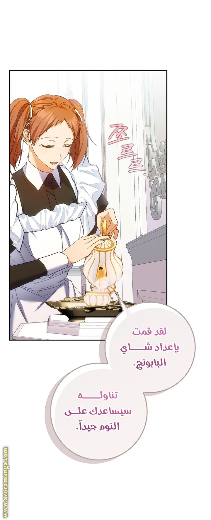 الصفحة 21