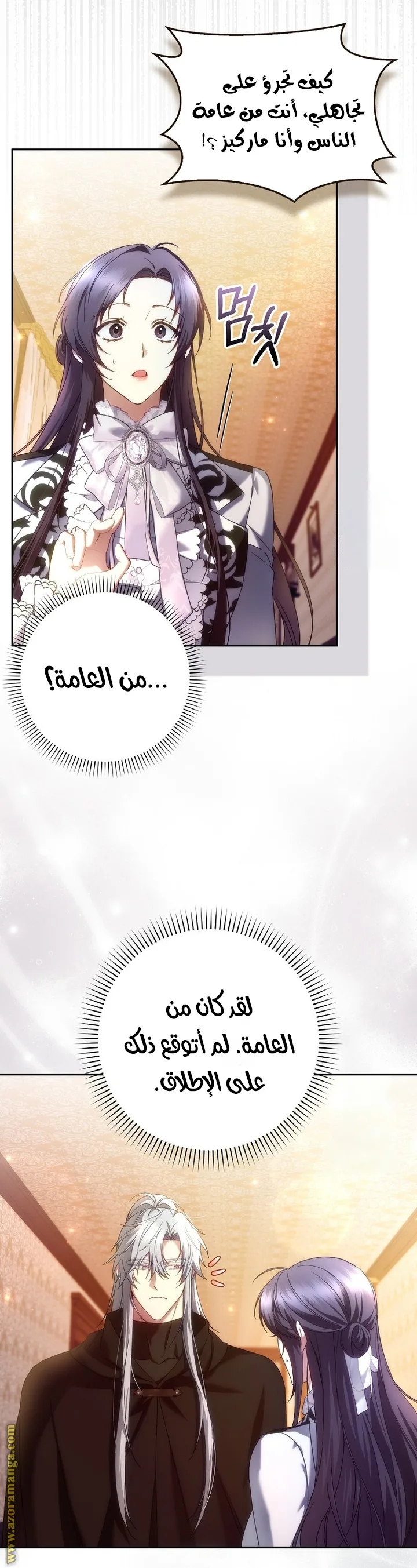 الصفحة 17