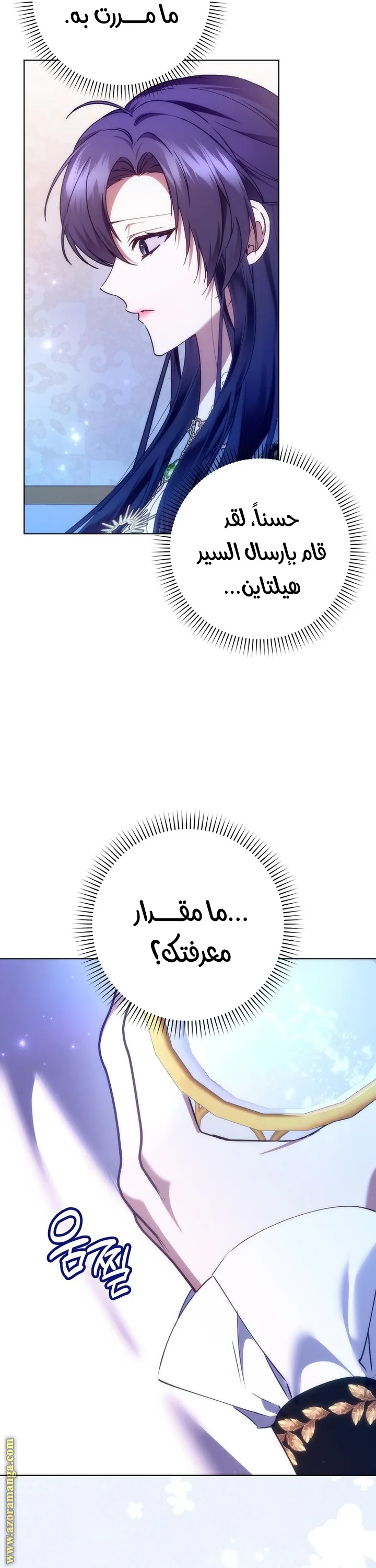 الصفحة 14