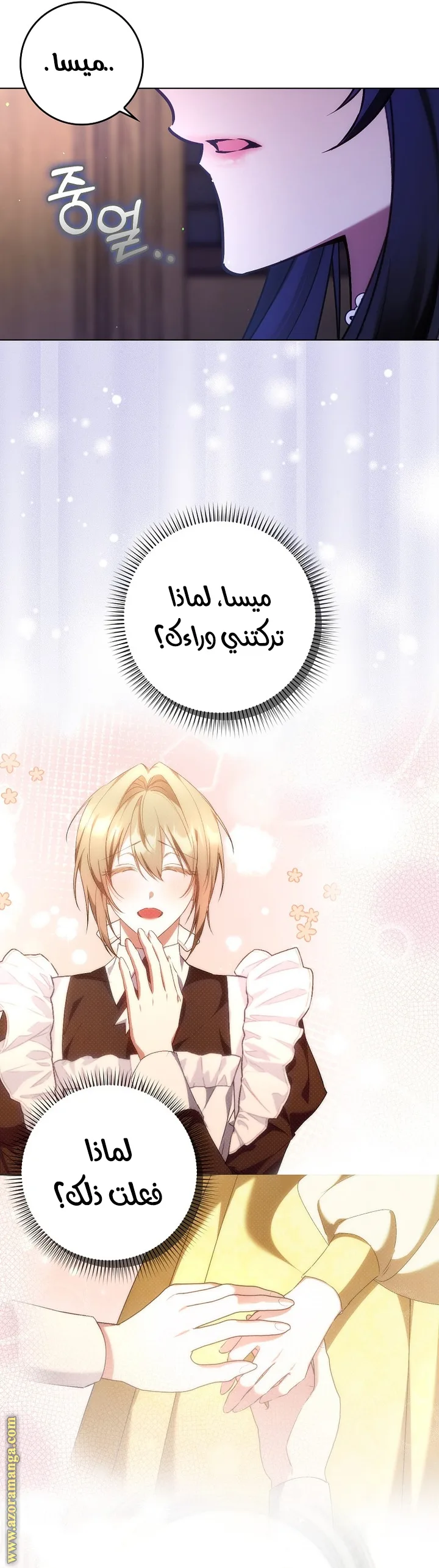 الصفحة 25