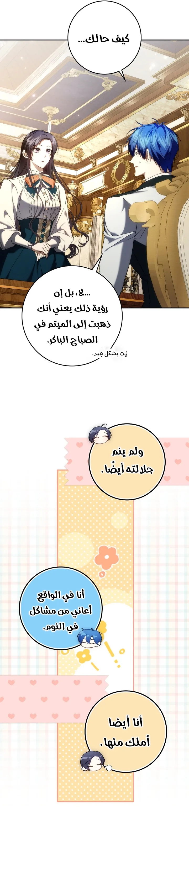 الصفحة 17