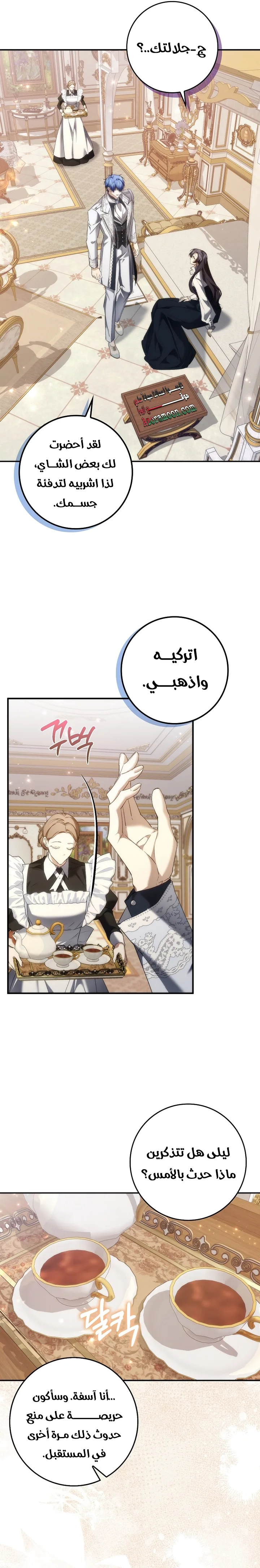الصفحة 25