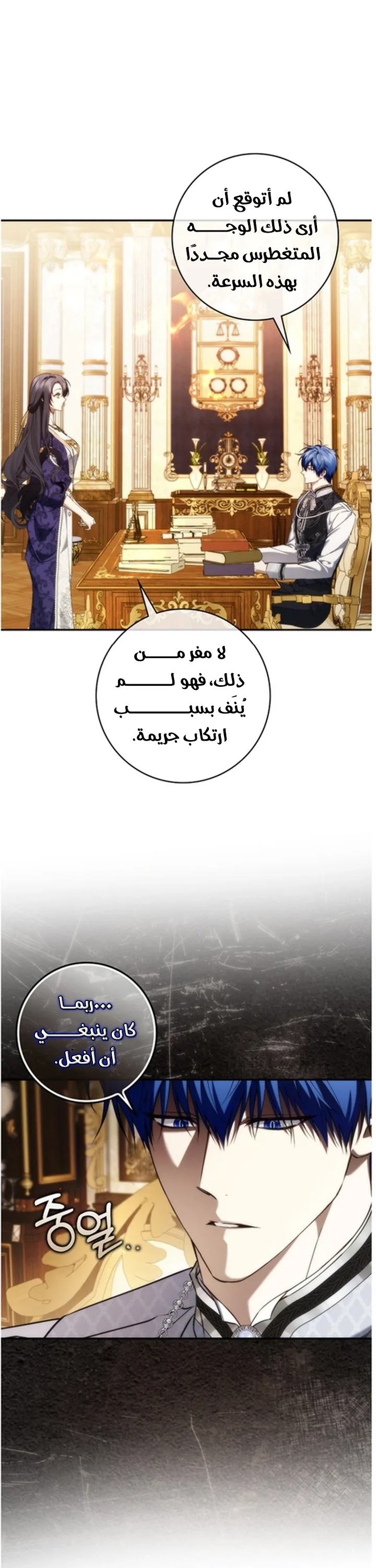 الصفحة 17