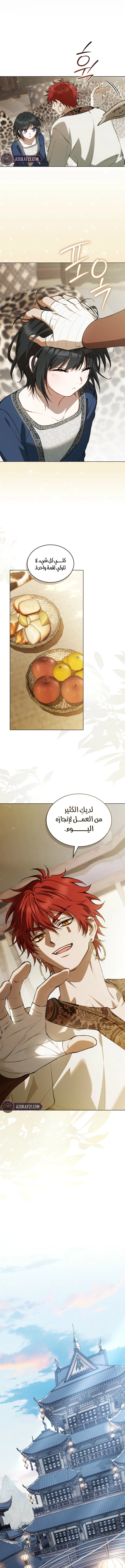 الصفحة 13