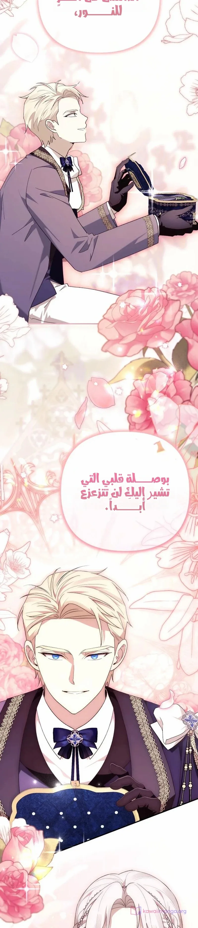 الصفحة 16