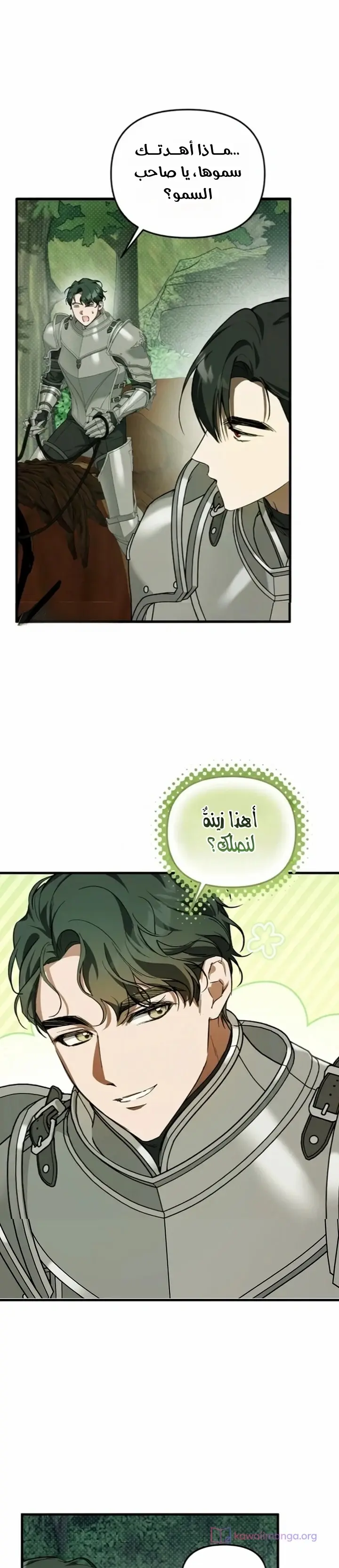 الصفحة 14