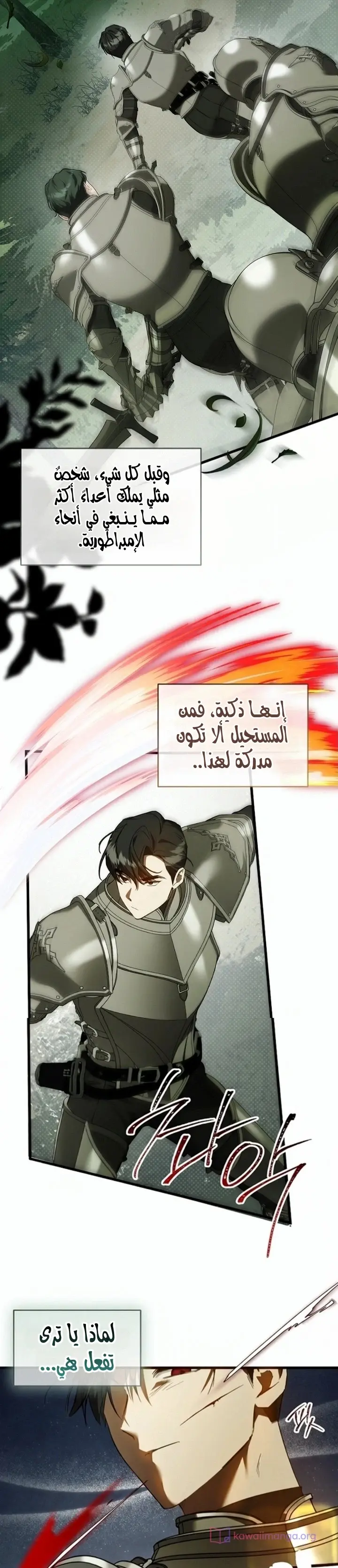 الصفحة 19