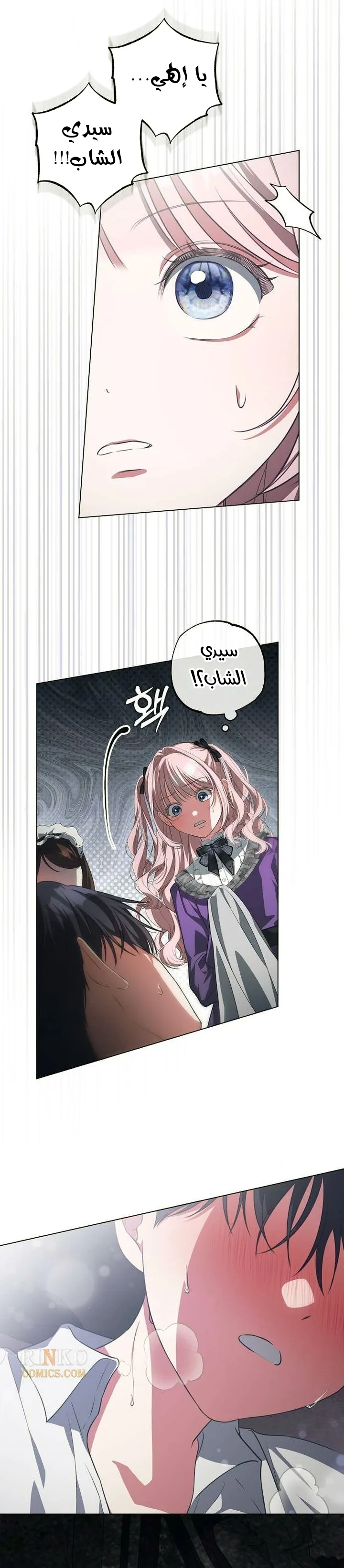 الصفحة 14