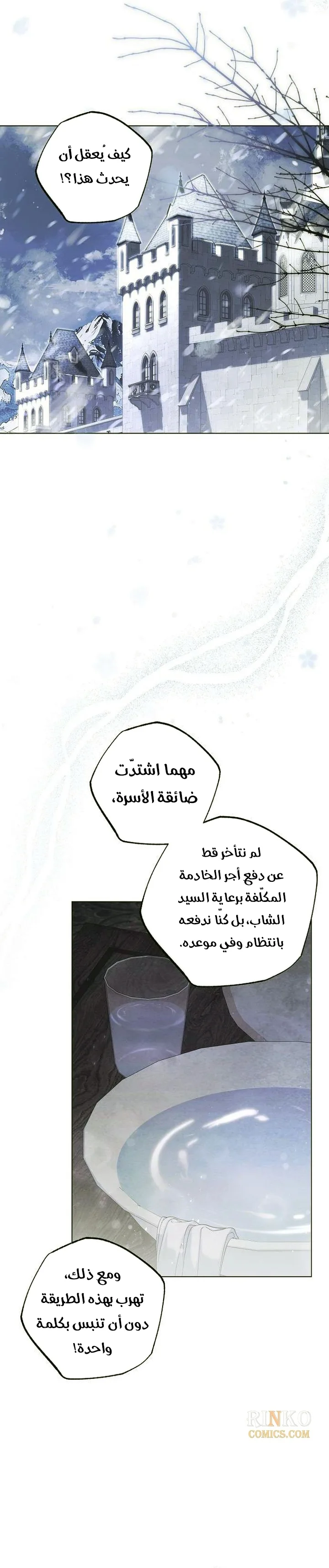 الصفحة 17