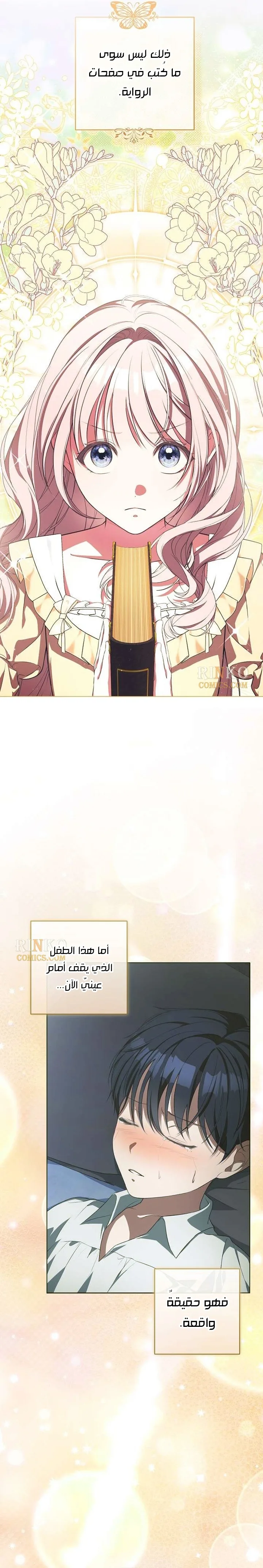 الصفحة 29
