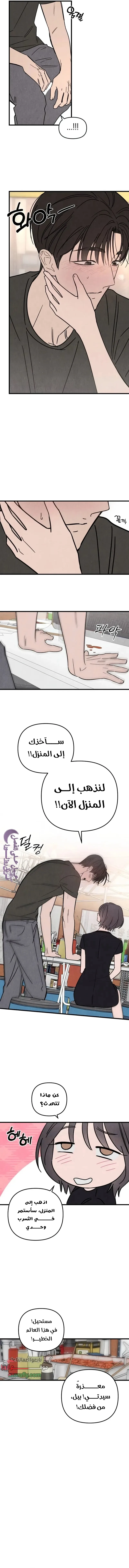 الصفحة 10
