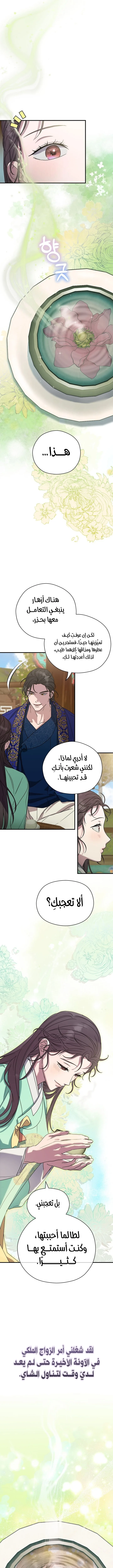 الصفحة 12