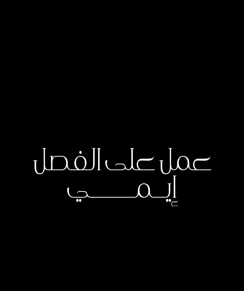 الصفحة 17