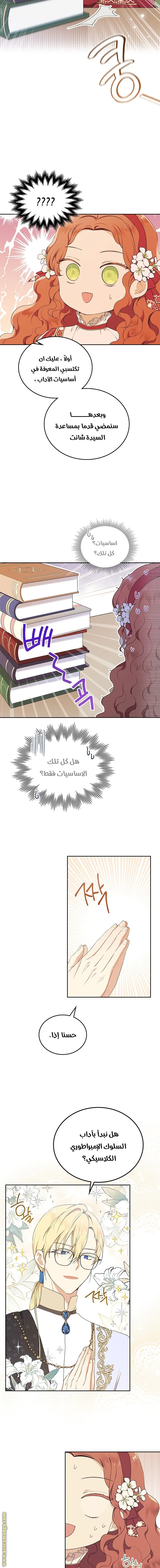 الصفحة 8