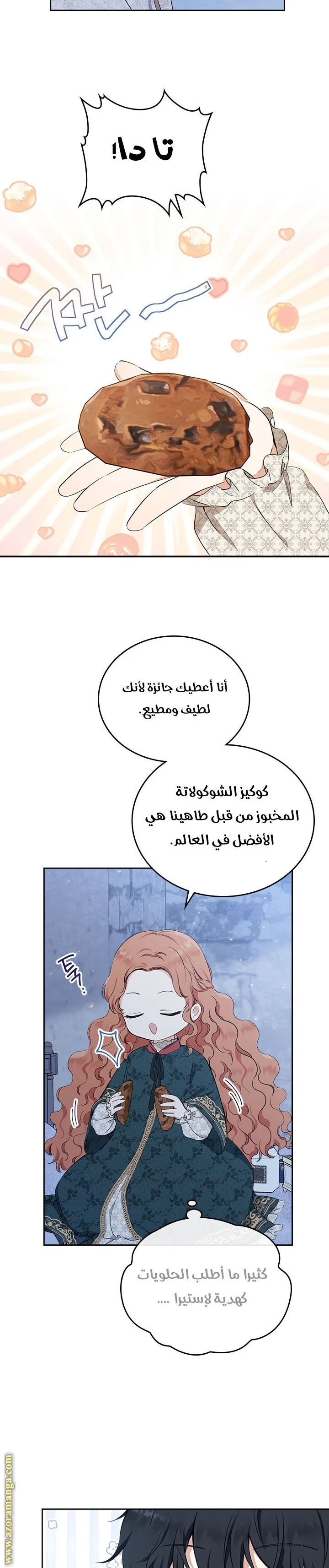 الصفحة 17
